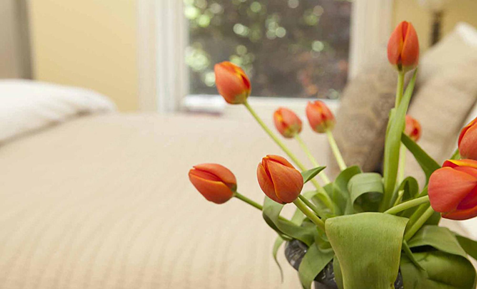 Morgan State House Inn Олбані Номер фото